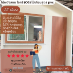 WL170-ไม้ผนังลอน สูตรภายนอก